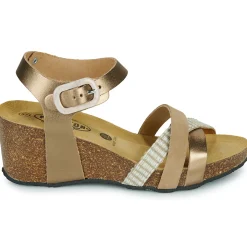 New Plakton - BRIDGE Doré