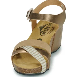 New Plakton - BRIDGE Doré