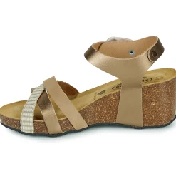 New Plakton - BRIDGE Doré