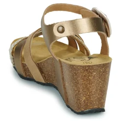 New Plakton - BRIDGE Doré