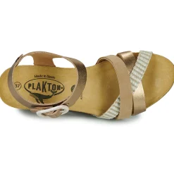 New Plakton - BRIDGE Doré