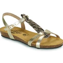 Plakton - FRAN COCO Doré Best