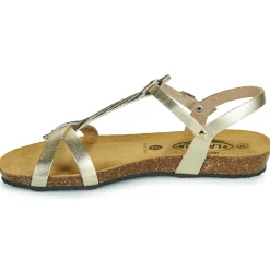 Plakton - FRAN COCO Doré Best