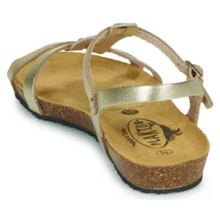 Plakton - FRAN COCO Doré Best