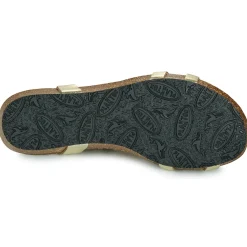 Plakton - FRAN COCO Doré Best