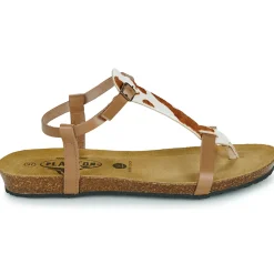 Plakton - FRAN ZOUK Cognac Online