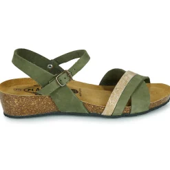 Clearance Plakton - NORTE