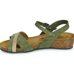 Clearance Plakton - NORTE