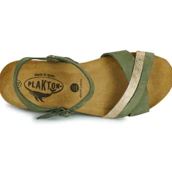 Clearance Plakton - NORTE