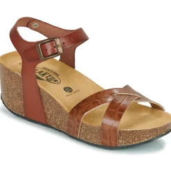 Plakton - SO FINAL Cognac Online