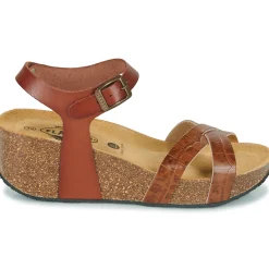 Plakton - SO FINAL Cognac Online