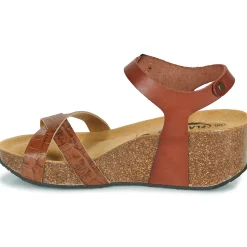 Plakton - SO FINAL Cognac Online