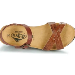 Plakton - SO FINAL Cognac Online