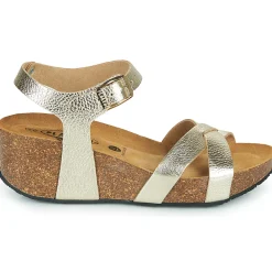 Plakton - SO FINAL Doré Discount