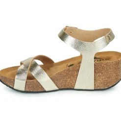 Plakton - SO FINAL Doré Discount