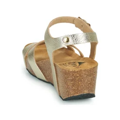 Plakton - SO FINAL Doré Discount