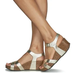 Plakton - SO FINAL Doré Discount