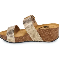 Plakton - SO ROCK Doré New