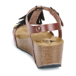 Plakton - SO TONKA Marron Best