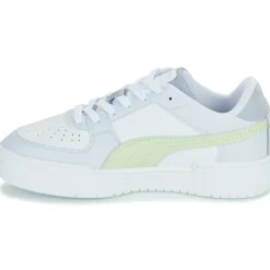 Puma - CA PRO Online