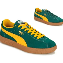 Puma - Delphin
