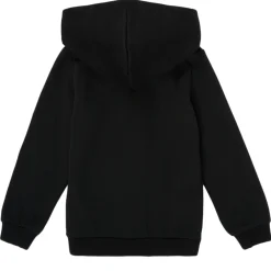 Puma - ESSENTIAL BIG LOGO FZ HOODIE Noir Online