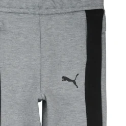 Online Puma - EVOSTRIPE CORE PANTS Gris
