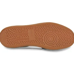 Hot Puma - Palermo Lth