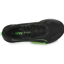 Puma - PWRFRAME Online