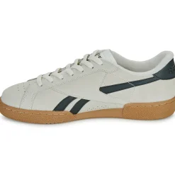 Clearance Reebok Classic - CLUB C GROUNDS UK