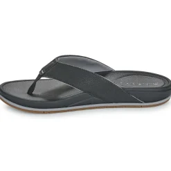 Reef - CUSHION BONZER