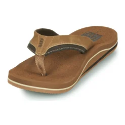 Clearance Reef - CUSHION DAWN Marron