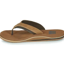 Clearance Reef - CUSHION DAWN Marron