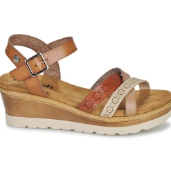 Online Refresh - 172682 Camel