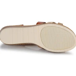 Online Refresh - 172682 Camel