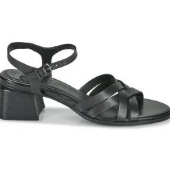 Regard - ET.EPI CRUST BLACK 2203