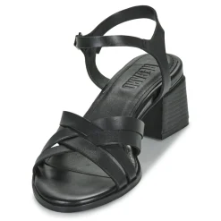 Regard - ET.EPI CRUST BLACK 2203