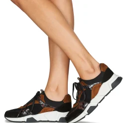 Regard - KENO Clearance