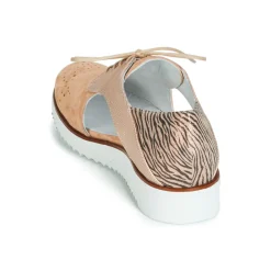 Regard - RIXULO V1 VEL