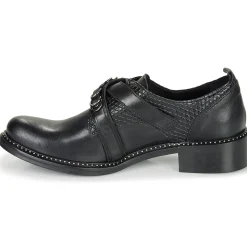 Regard - ROABAX VA MAIA