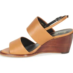 Robert Clergerie - GUMI Marron New