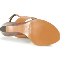 Robert Clergerie - GUMI Marron New