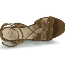 Best San Marina - MEXA/VEL Marron