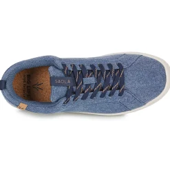 Saola - CANNON CANVAS 2.0