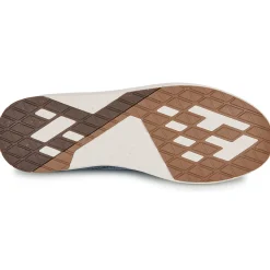 Saola - CANNON CANVAS 2.0