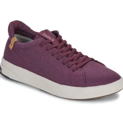 Sale Saola - CANNON KNIT 2.0 WOOL Bordeaux