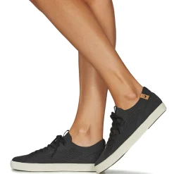 Saola - CANNON KNIT II