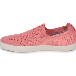 Sale Saola - VIRUNGA Rose