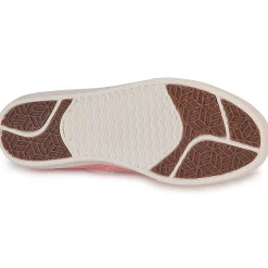 Sale Saola - VIRUNGA Rose