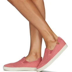 Sale Saola - VIRUNGA Rose